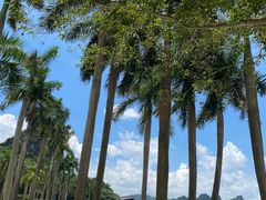 -南宁花花大世界景区