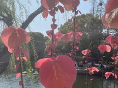 -无锡蠡湖国家湿地公园-蠡园
