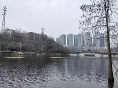 -重庆彩云湖湿地公园