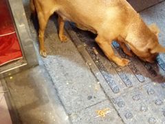 -黄胜记鼓浪屿肉松店(龙头路店)