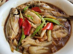 -鹭岛新泉客家菜·海鲜·融合菜(莲前店)