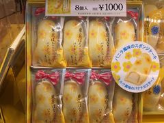-关西国际机场直营免税店