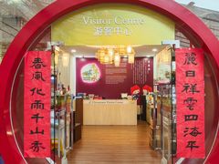 -新加坡佛牙寺龙华院