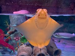 -沈阳海洋探索中心