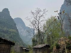 -明仕田园