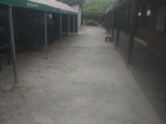 -长兴岛郊野公园农场食堂