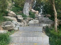 -莲湖公园