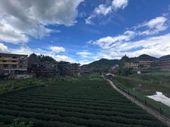 -客雨侗菜馆(客雨民宿店)