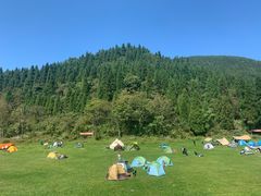 -武陵山森林公园