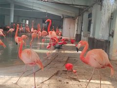 -石家庄市动物园