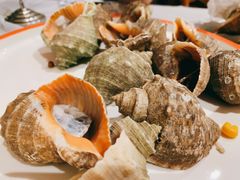 海螺-渔民船说·北塘海鲜·天津菜·海肠捞饭(北塘古镇店)