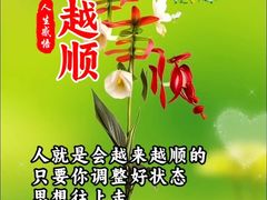 -北极阁公园
