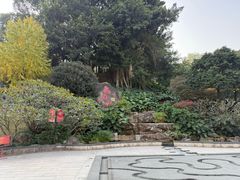 -乌山风景区
