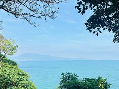 -西涌国际滨海旅游区