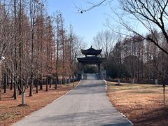 -梁鸿国家湿地公园
