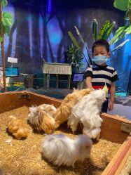 -酷嗒动物文化乐园(cutezoo西溪乐天城店)