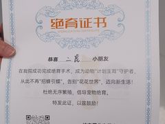 -纳吉亚猫专科动物诊疗中心(蒋宅口分院)