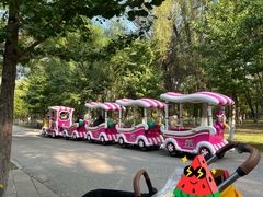 -长白岛森林公园