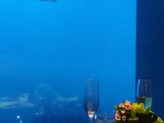 -Social 秀西餐厅-长沙瑞吉酒店(运达店)