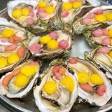 都给我去吃这家生蚝🦪贼肥嫩新鲜！！
