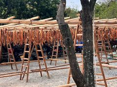 -满記土窑烧鷄波浪山莊