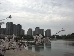 -新江湾城公园