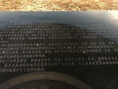 -磁州窑博物馆
