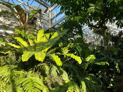 -国家植物园南园