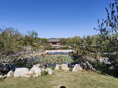 -上海滨江森林公园