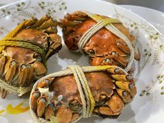 -阳澄湖大闸蟹·琼灵阁牌品牌连锁(吴中总店)