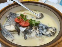 -全乐鱼馆·淳牌有机鱼直营店