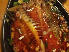 -川东长筷子耗儿鱼(万象润街店)