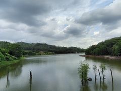 -番禺大夫山森林公园