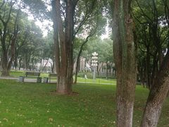 -重庆市江北嘴中央商务区中央公园