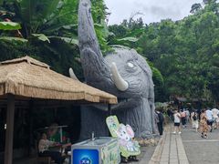 -野象谷景区