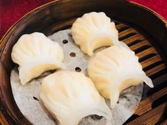虾饺-金苑海鲜酒家(新港中路店)