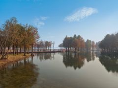-贡湖湾湿地公园