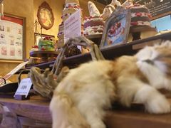 -乡田小墅(展览馆路JK FUN商城店)