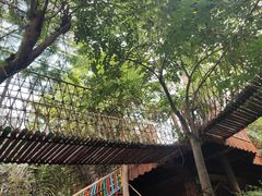 -呀路古热带植物园