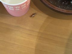 -裕鼎鲜·新中菜(金鼎广场店)
