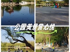 -青城公园