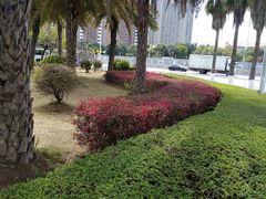 -华侨大学(厦门校区)