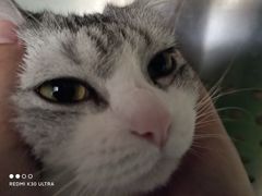 -艾贝尔宠物诊疗