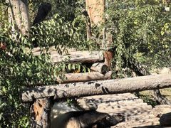 -青藏高原野生动物园