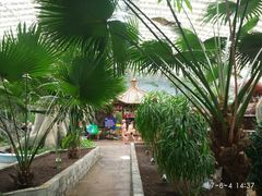 -龙脉温泉室内游泳馆