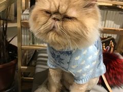 -小时光咖啡馆(开森度假森林店)