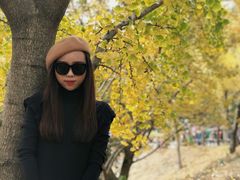 -千年银杏谷文化旅游区