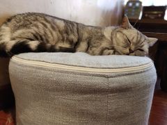 -万达广场(东莞厚街店)