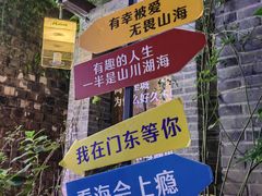 -两棵枇杷树