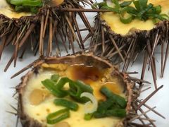 -海胆小馆(东北水饺·春柳店)